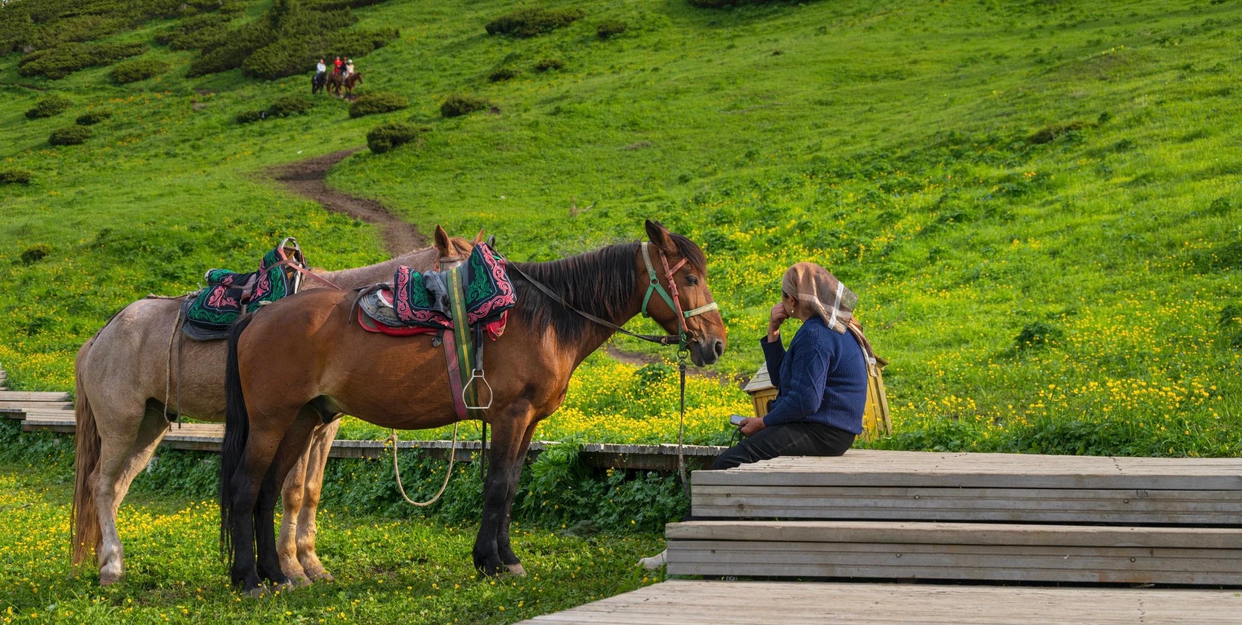 探不二·伊犁牧歌 8 日旅途影像1